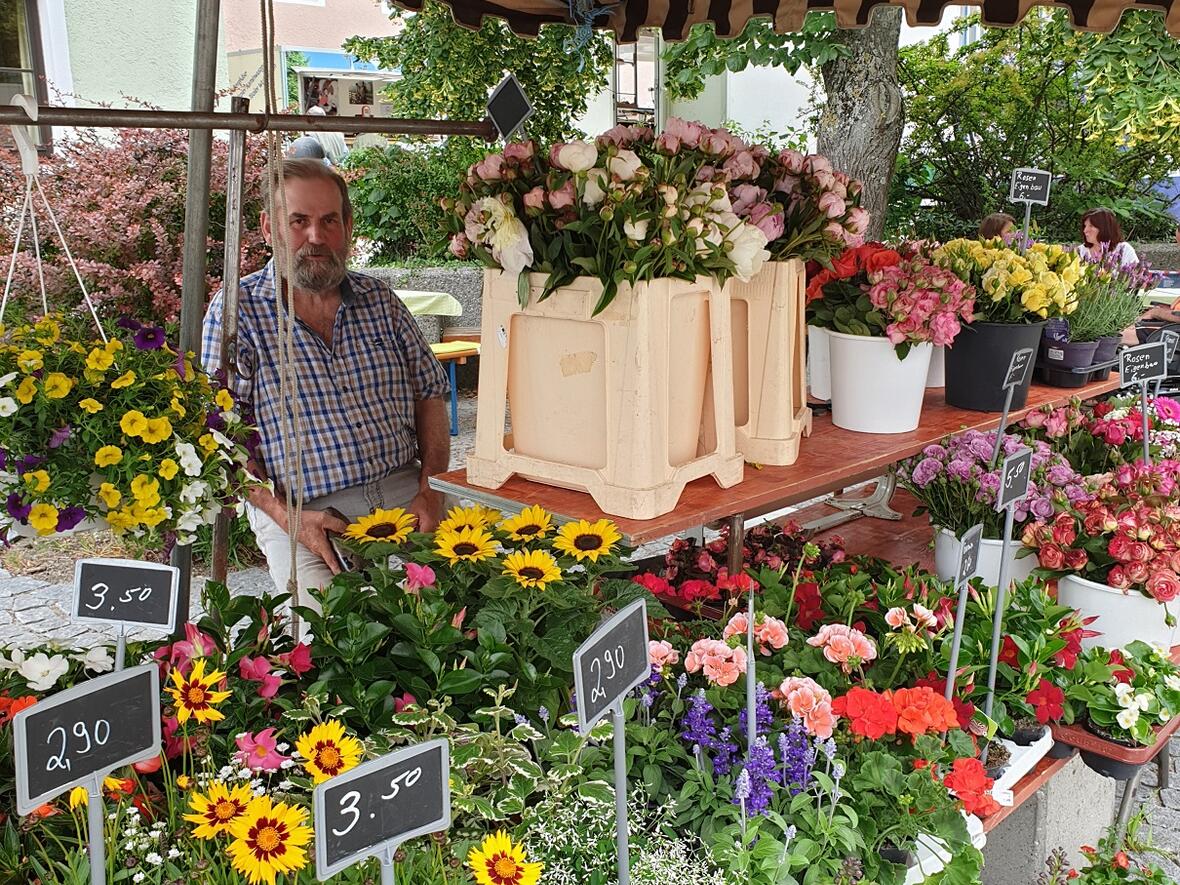 blumen-breinlein